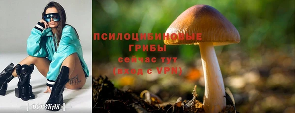 мет Абаза