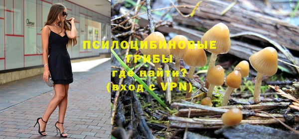 мет Абаза