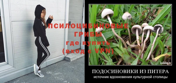 мет Абаза